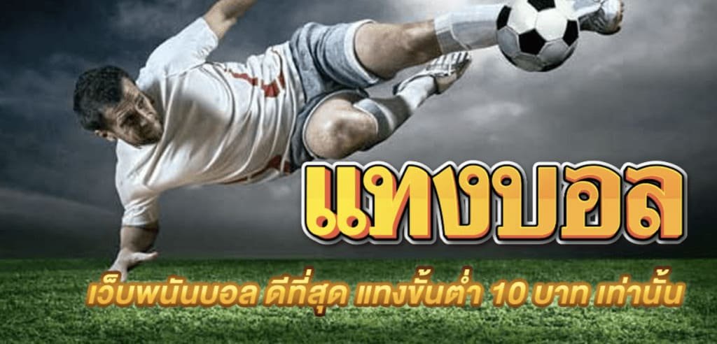 เว็บแทงบอลดีที่สุด